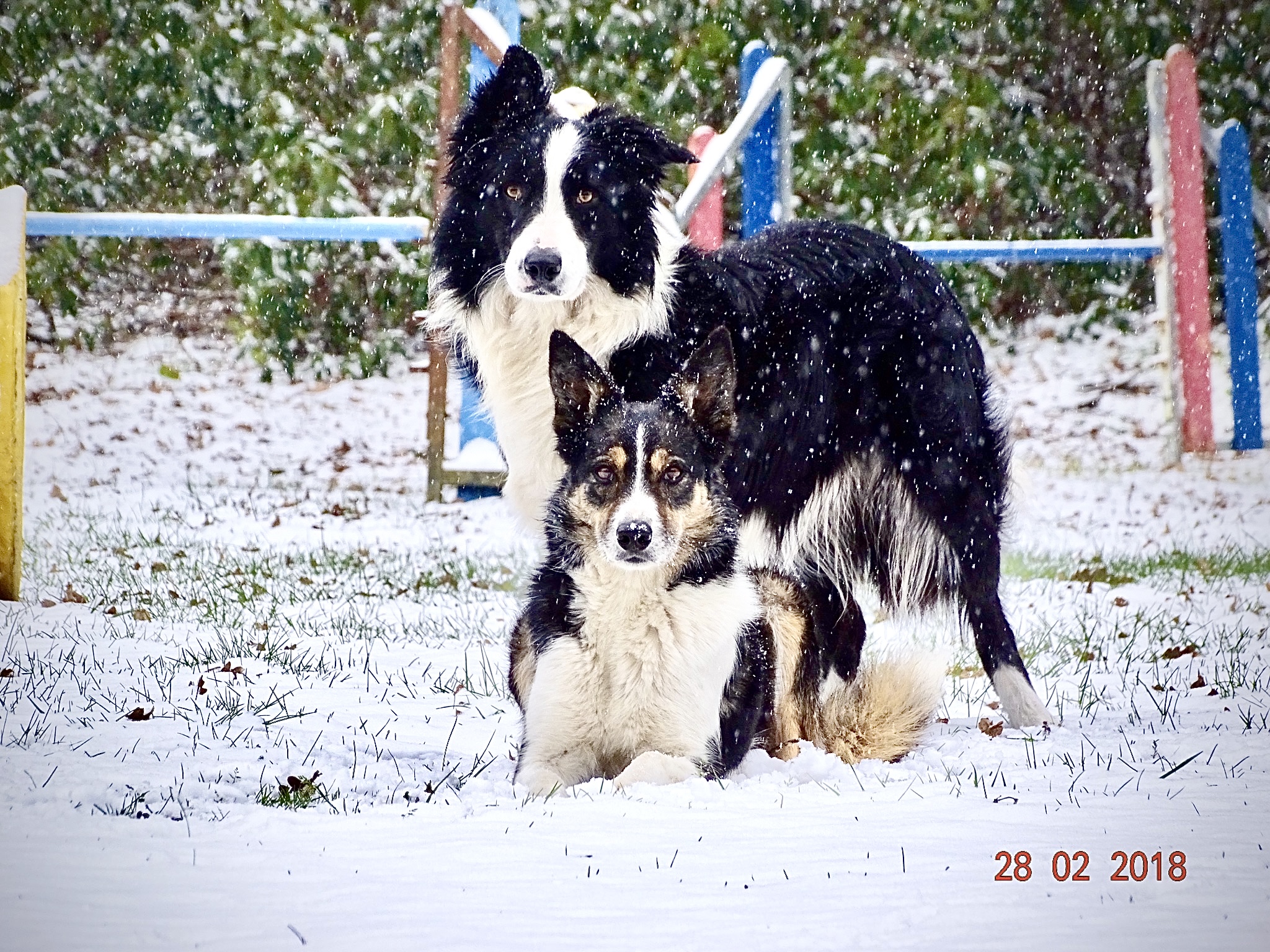 sous la neige